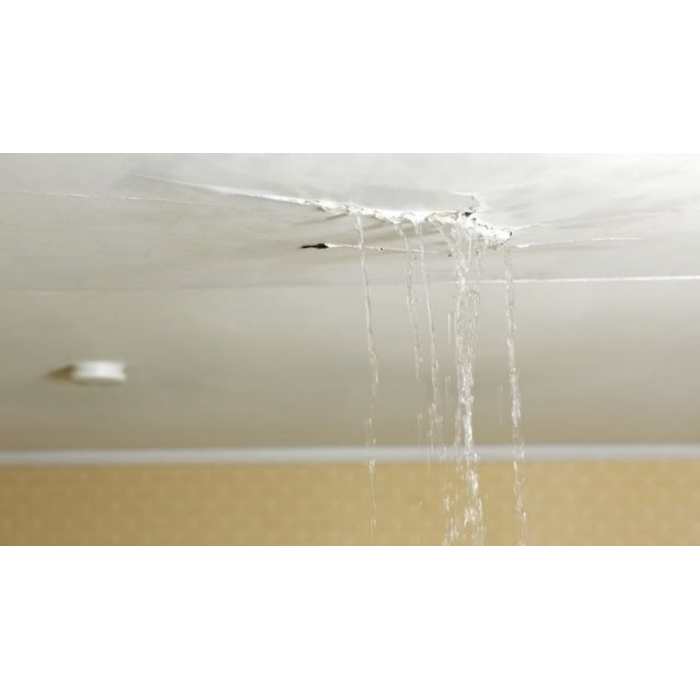 Water Penetration / Leaks / Waterproofing