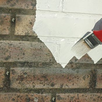 Oil Paints Peeling Off Garden Wall
