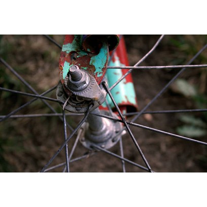 Rusty Bike